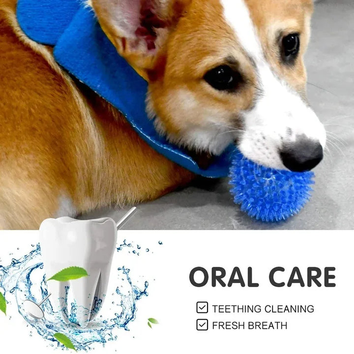 Pet Dog &amp; Cat Squeaky Ball Toys, TPR Rubber Teeth Cleaning Chew Ball, Polka Sounding Training Toy for Puppies &amp; Dogs, Durable Dental Exercise Toy