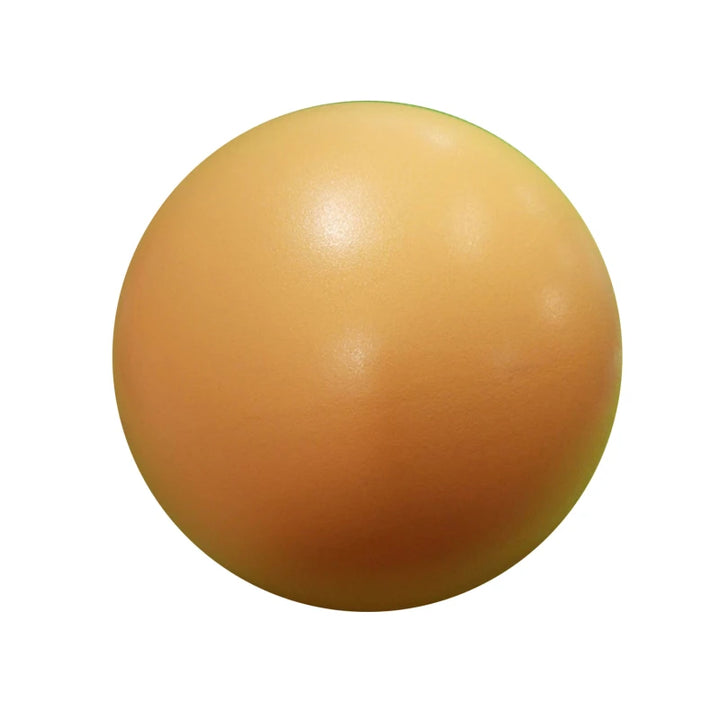 New 25cm Yoga Ball Exercise Gymnastic Fitness Pilates Ball Balance Exercise Gym Fitness Yoga Core Ball Indoor Training Yoga Ball