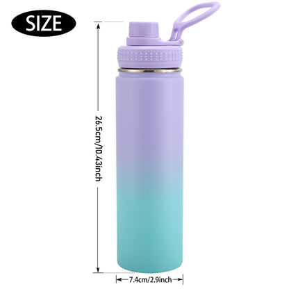22oz/650ml Insulated Water Bottle with Straw, Stainless Steel Leak Proof Sports Water Flask, Double Walled Vacuum Metal Water Bottle